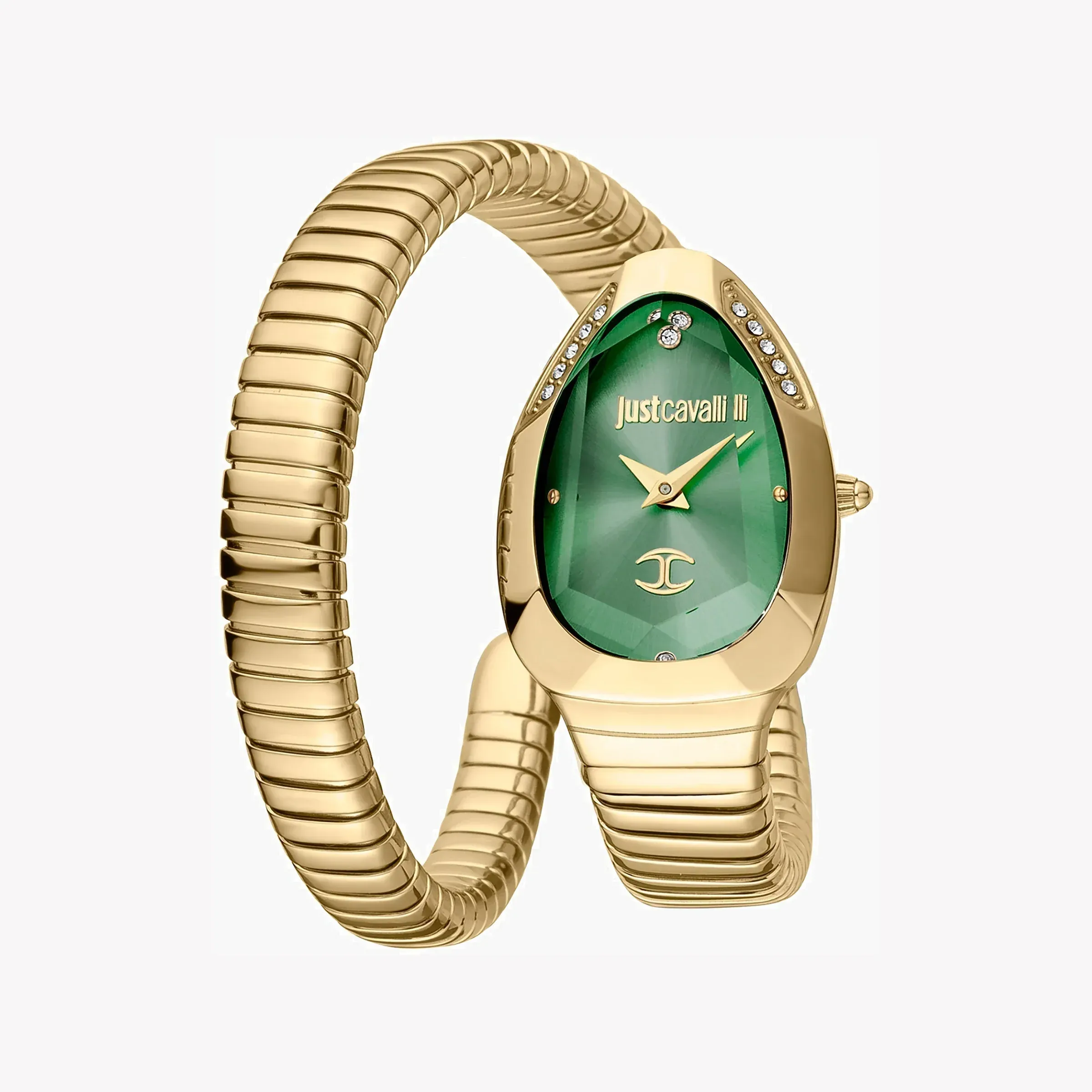 Just Cavalli Watch JC1L208M0045