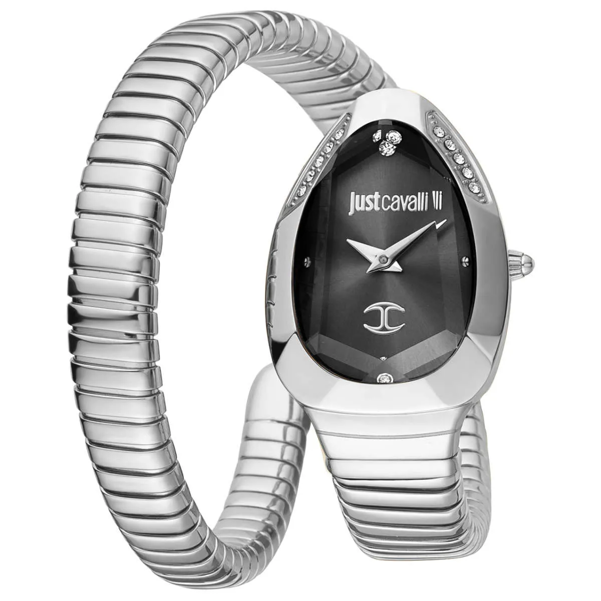 Just Cavalli Watch JC1L208M0025