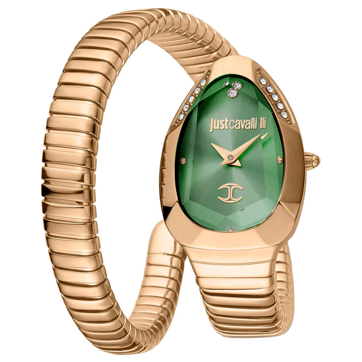 Just Cavalli Watch JC1L208M0055