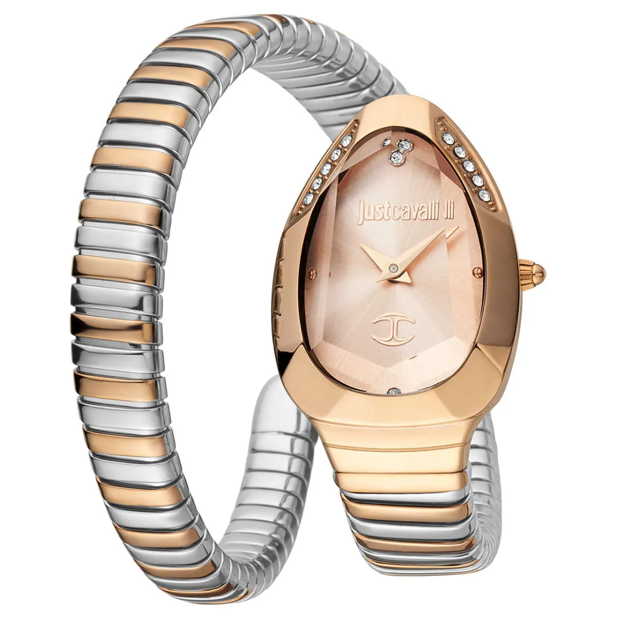 Just Cavalli Watch JC1L208M0075