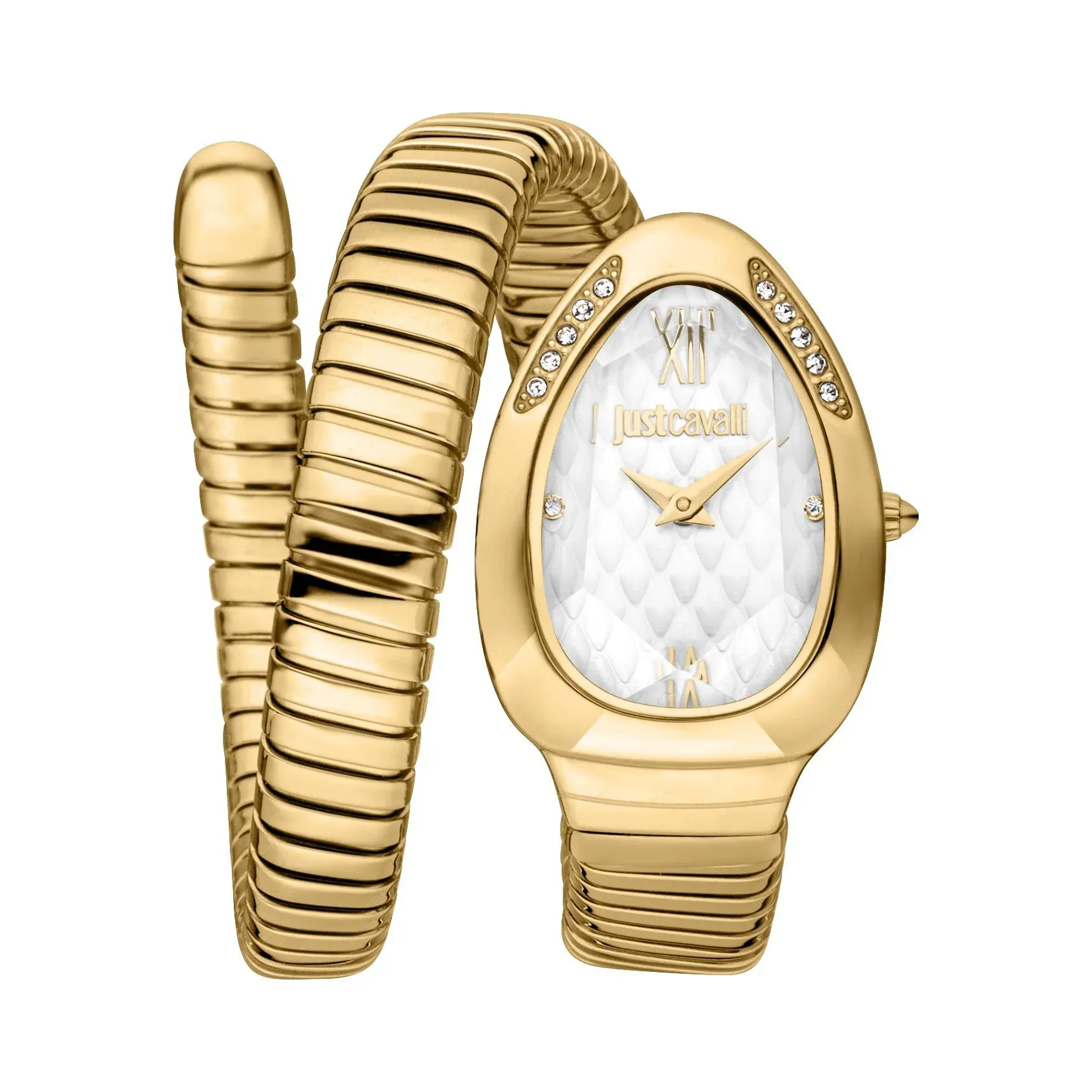 Just Cavalli Watch JC1L223M0025
