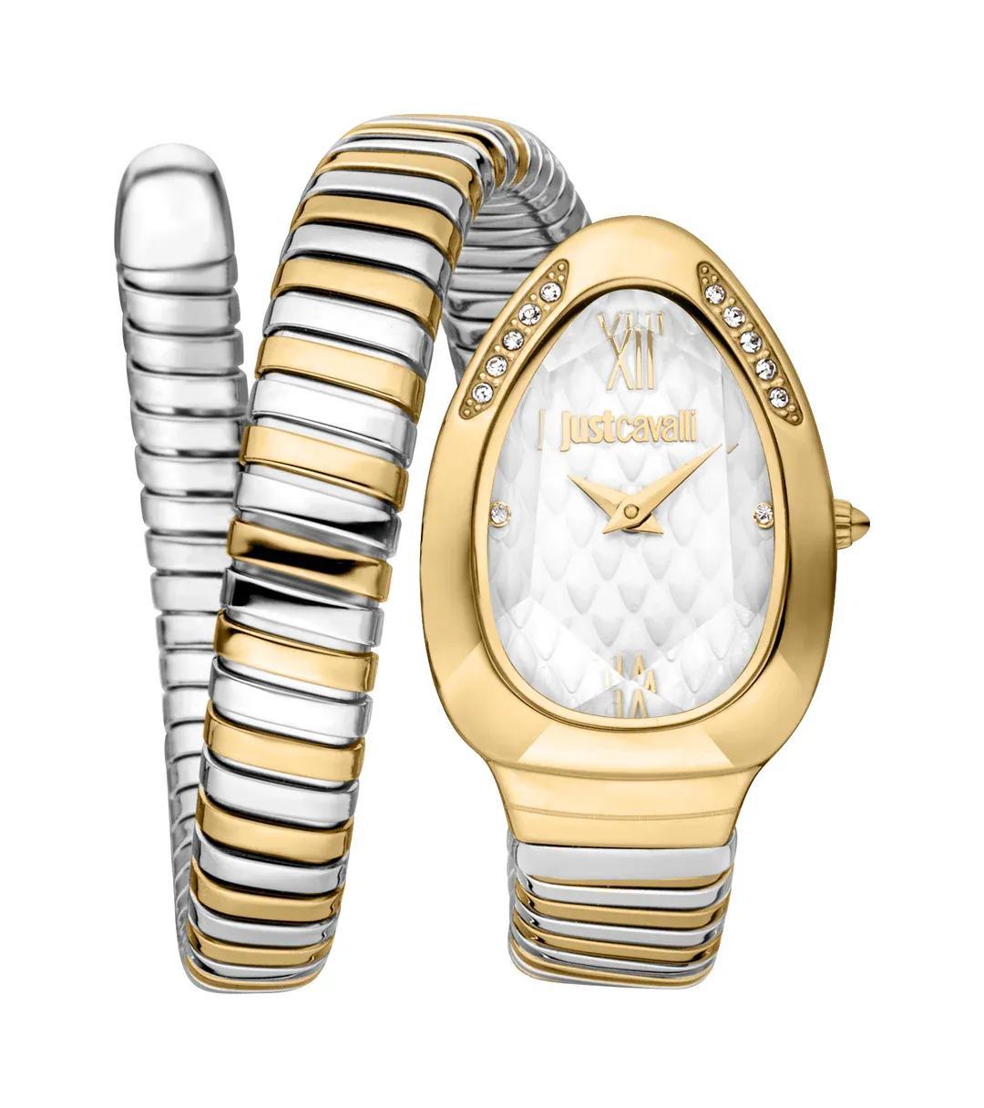 Just Cavalli Watch JC1L223M0055