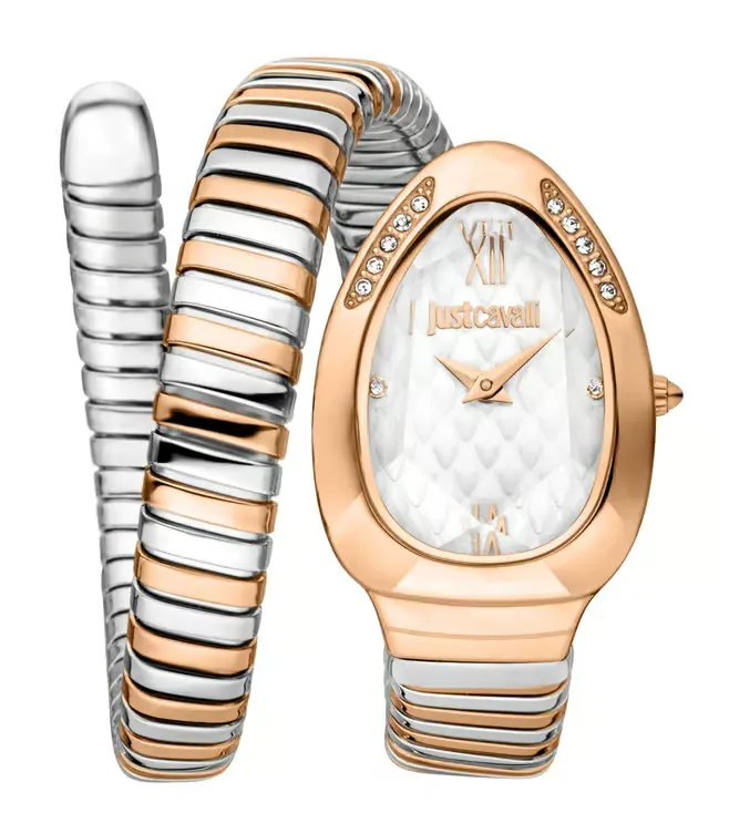 Just Cavalli Watch JC1L223M0065