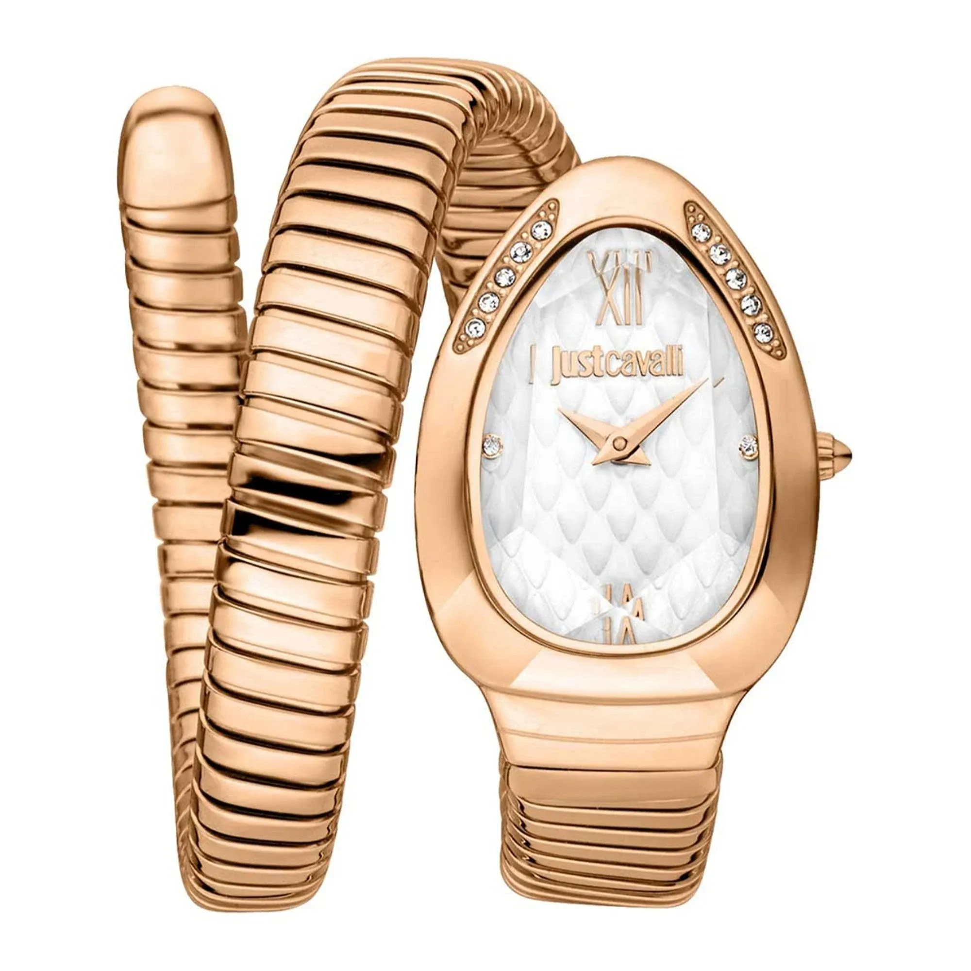 Just Cavalli Watch JC1L223M0045