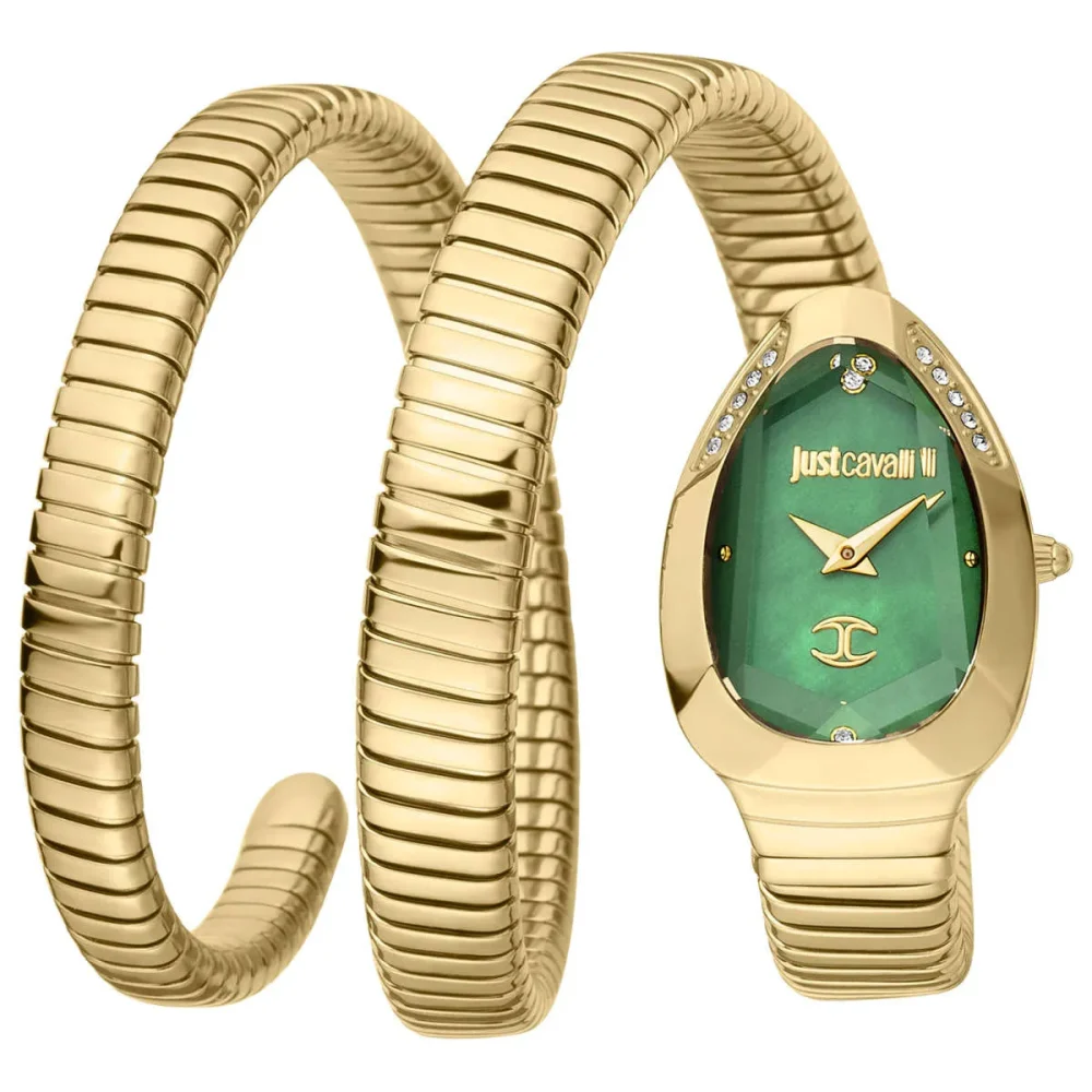 Just Cavalli Watch JC1L209M0045