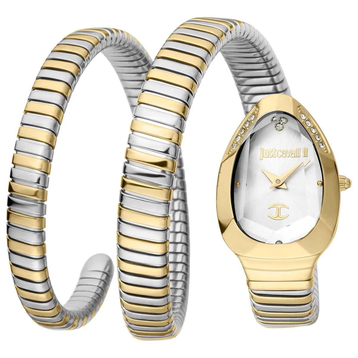 Just Cavalli Watch JC1L209M0065