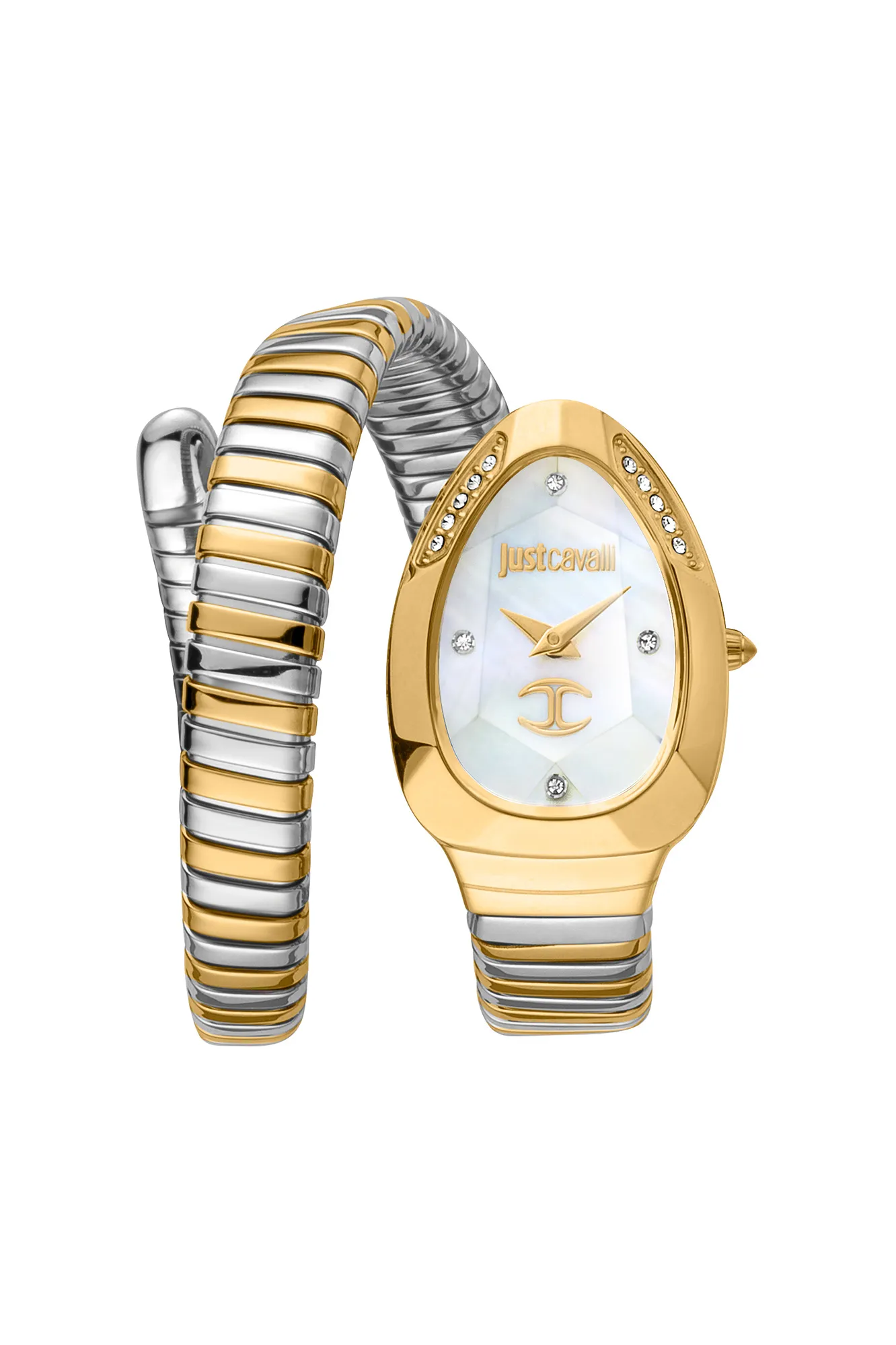Just Cavalli Watch JC1L229M0065