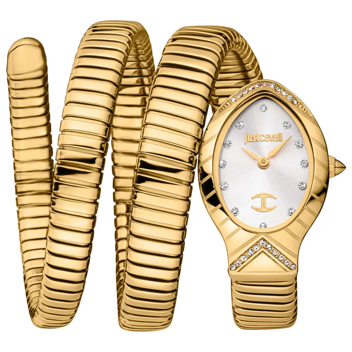 Just Cavalli Watch JC1L248M0025