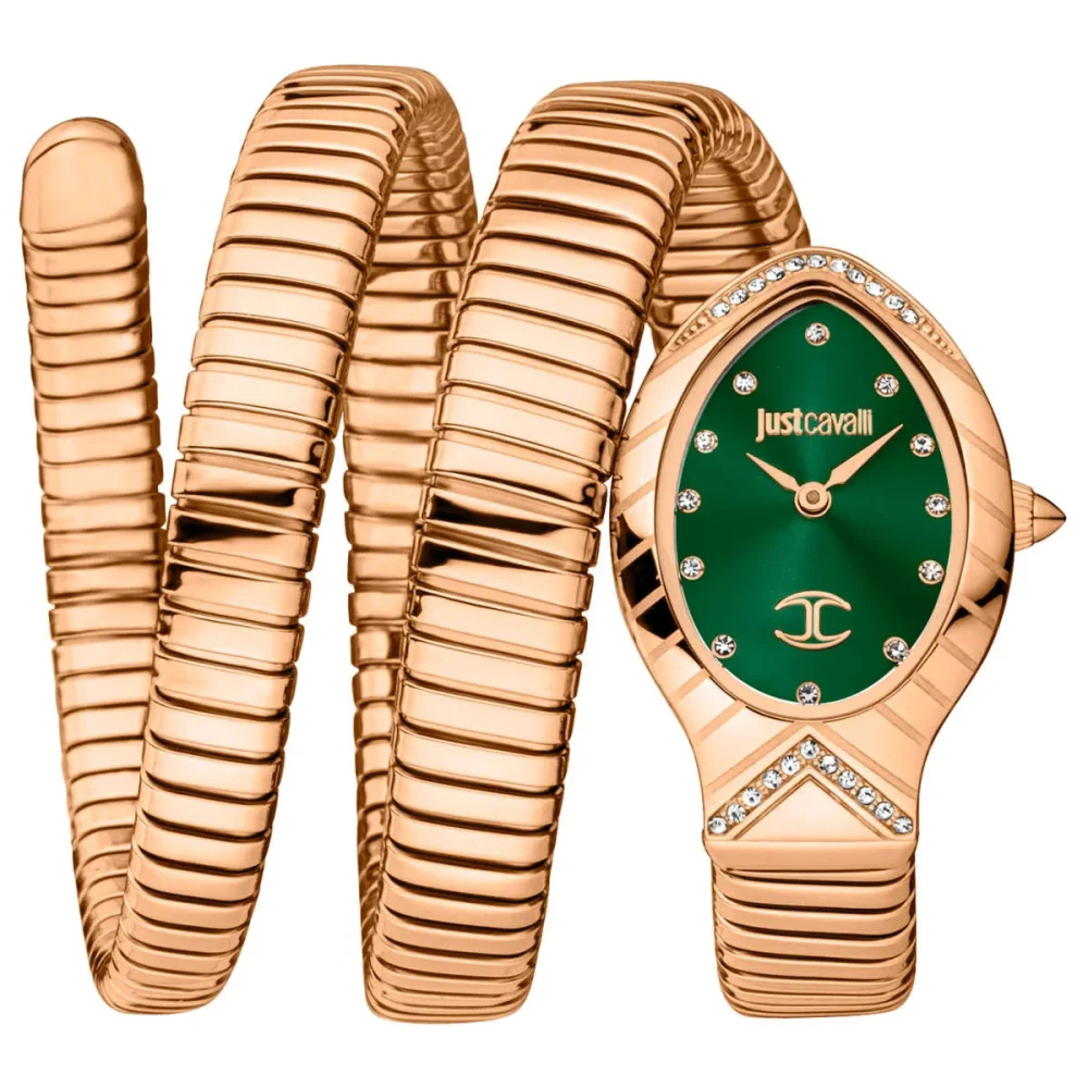 Just Cavalli Watch JC1L248M0045