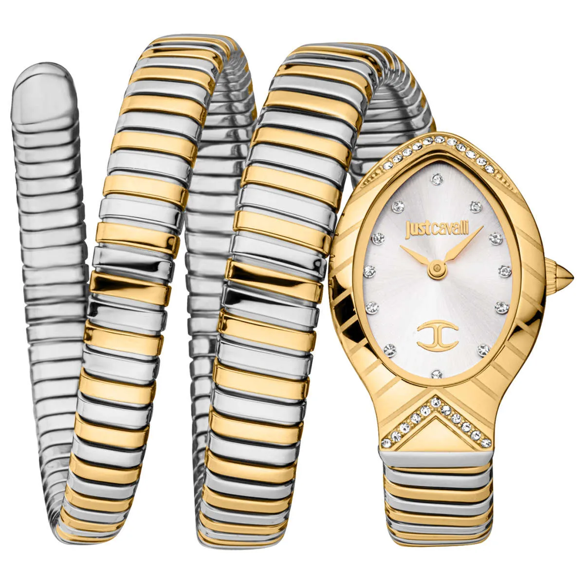 Just Cavalli Watch JC1L248M0055
