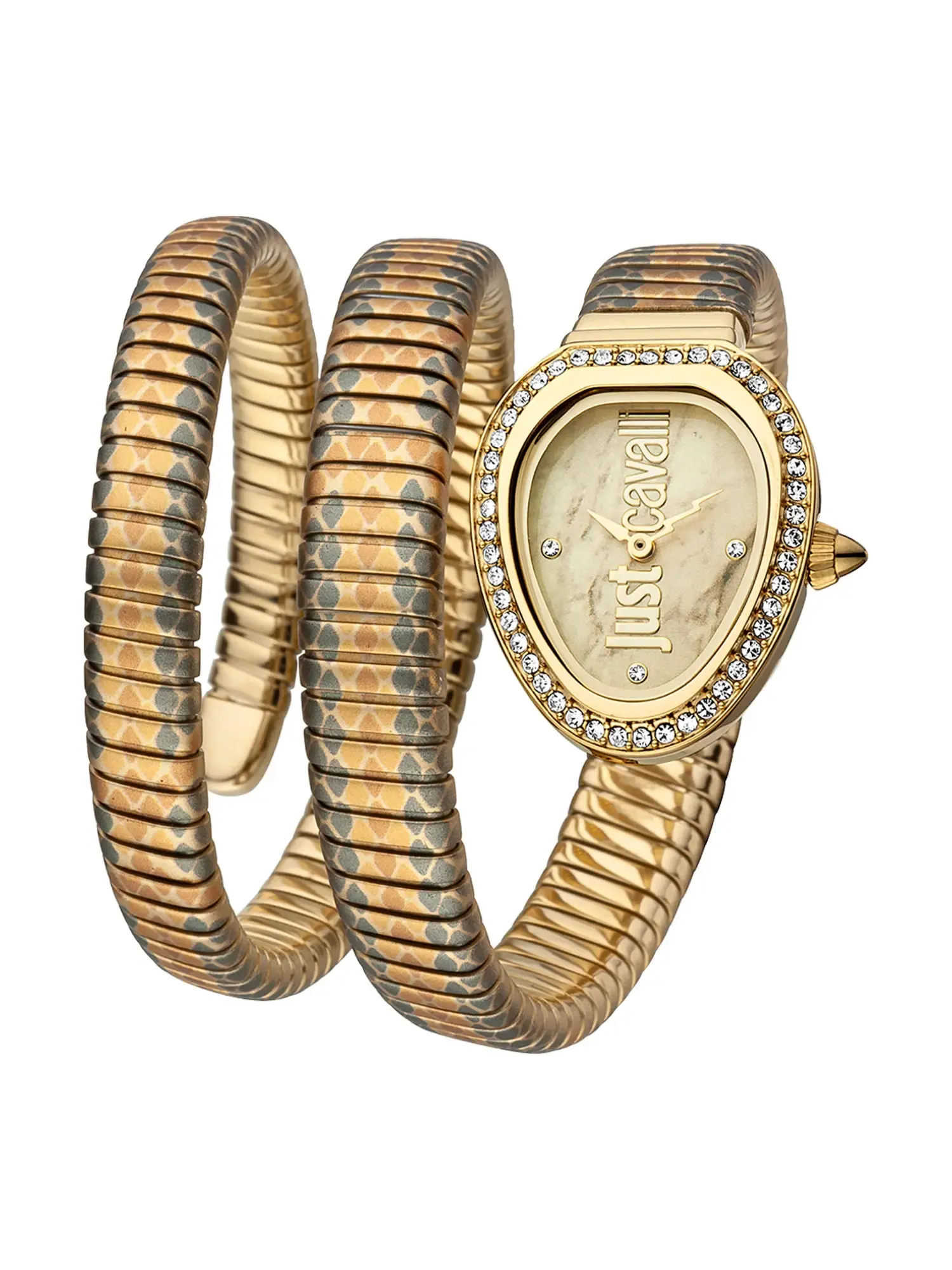 Just Cavalli Watch JC1L163M0235