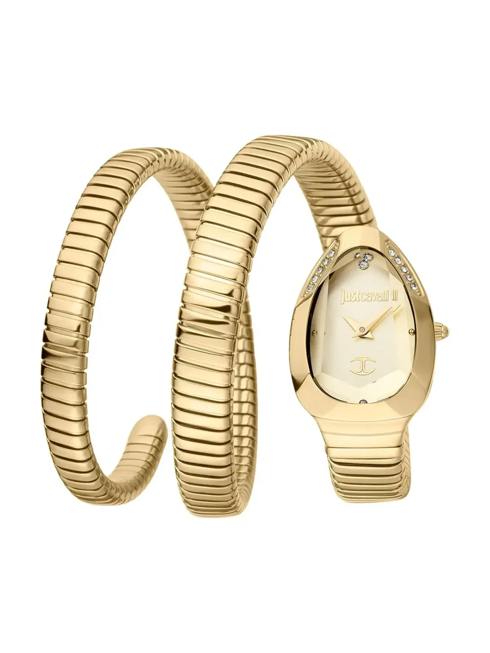 Just Cavalli Watch JC1L209M0035