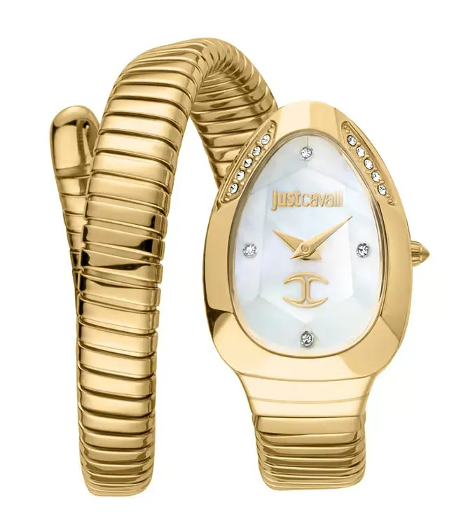 Just Cavalli Watch JC1L229M0025