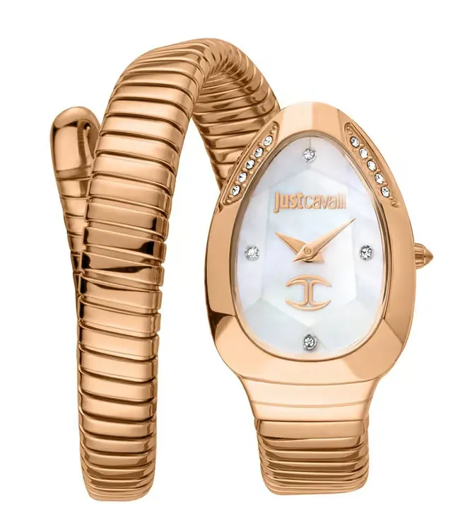 Just Cavalli Watch JC1L229M0045