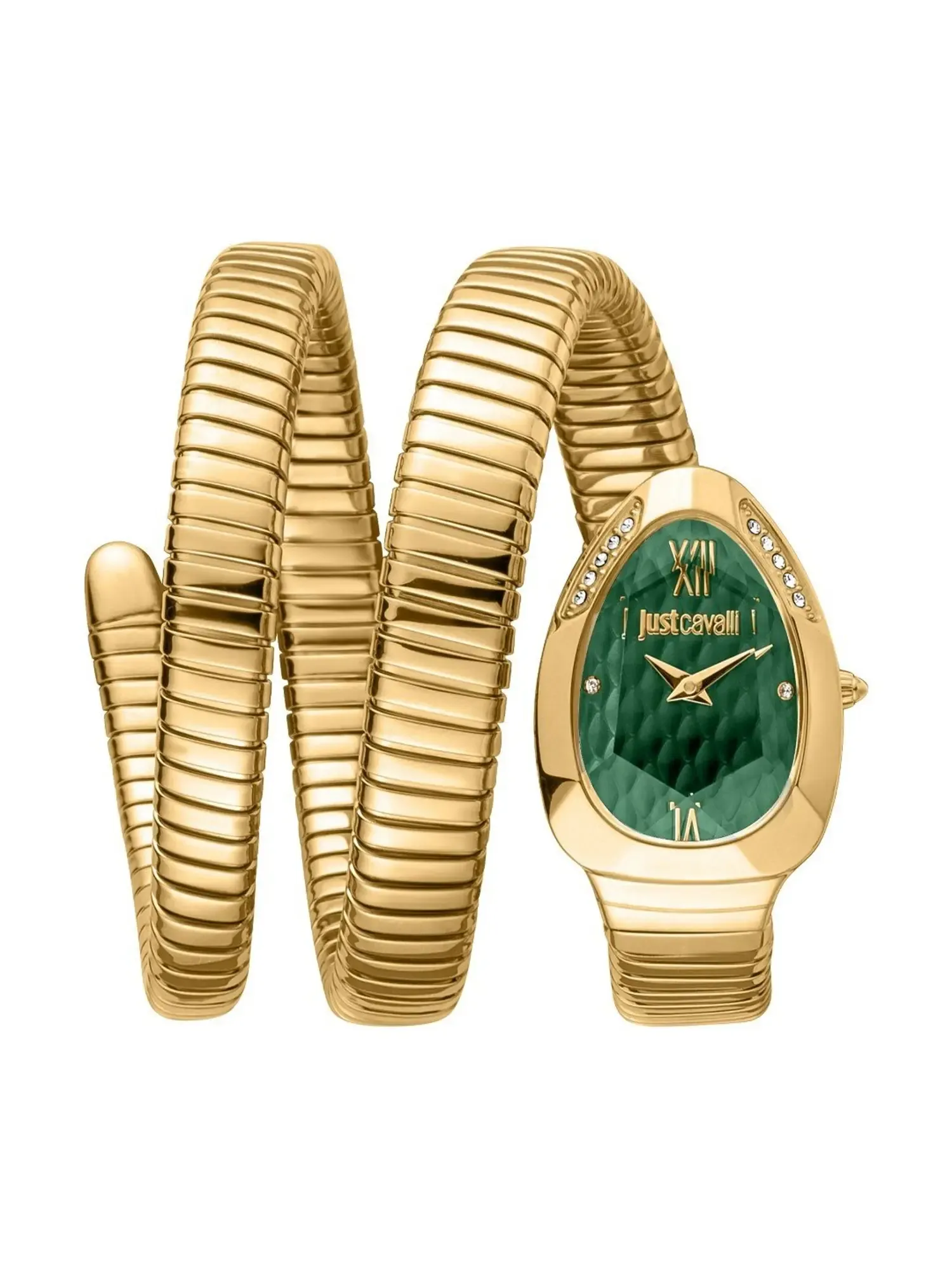 Just Cavalli Watch JC1L224M0045