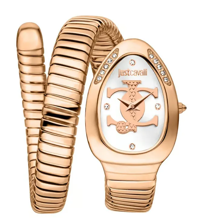 Just Cavalli Watch JC1L227M0055