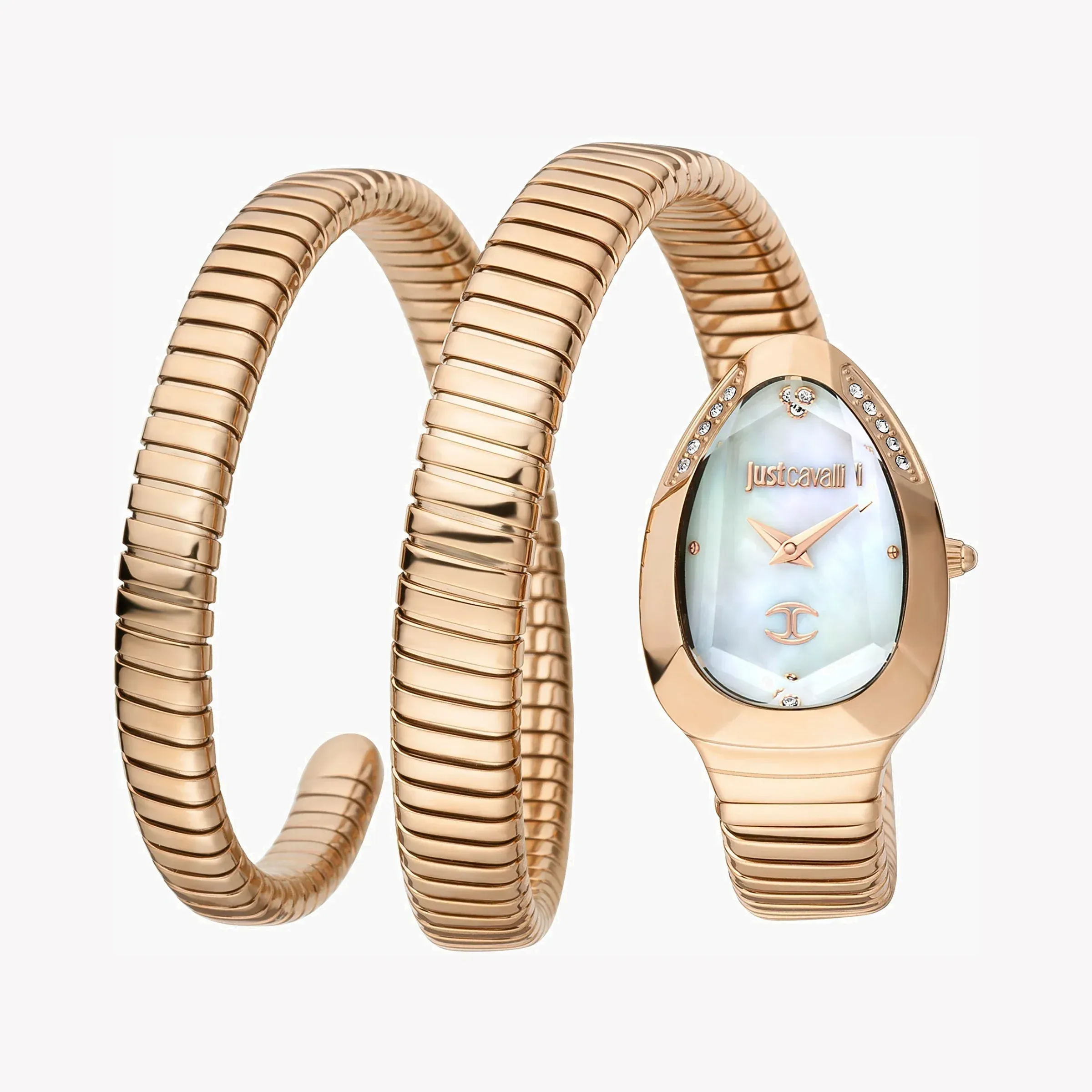 Just Cavalli Watch JC1L209M0055